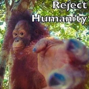 Meet your Posher, Jack